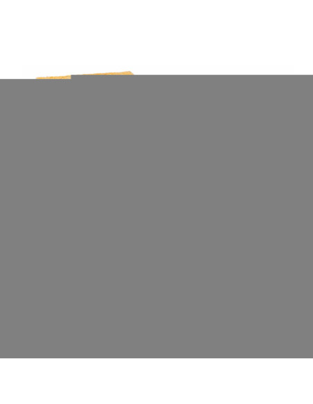 DETECTOR DE POROSIDAD (HOLIDAYS) POSITECTOR LPD – KIT BÁSICO MARCA DEFELSKO 