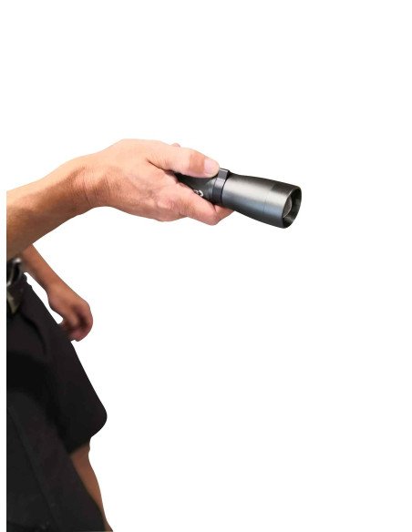 FLASH 1000 R, 03.5138