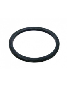 Gasket (AA124), CP7717-2-226-EPR