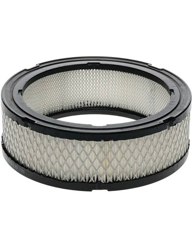 Air Filter 16-18 HP Vanguard (Series 356447) 394018, 100-131