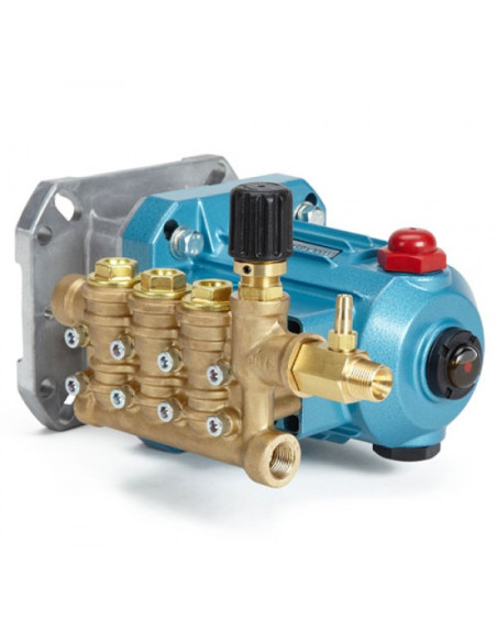 Assy, Pump w/Plumbing, Cat Pump