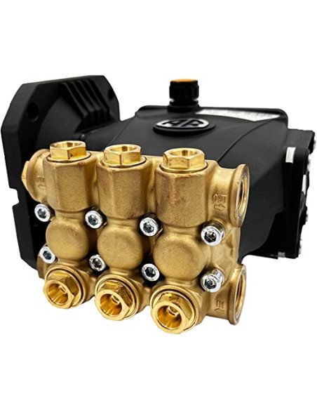 Pump, 3@2500, 1750 RPM Electric Flange 5/8" Hollow Shaft, RCA3G25E-F8