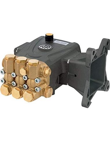 AR Pump, 3.5@3000 @ 1750 RPM (184T, 215T) 1-1/8" Hollow Shaft, RRA35G30E-F17