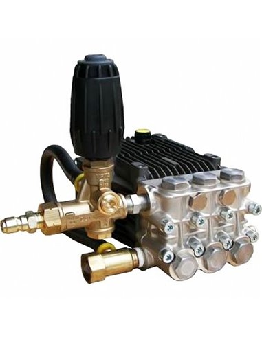 Pump, 3.96 GPM @ 4000, 1450 RPM, 24mm Solid Shaft, Triplex Plunger, RK15.28HN