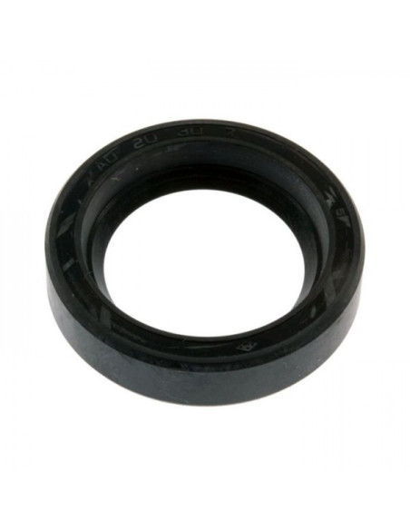 Seal, Oil 66DX, 48911 