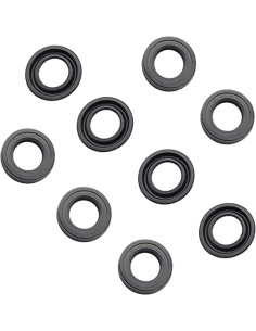 Kit, Water Seal  RMV (2.5 GPM 6-Seals), AR2235 