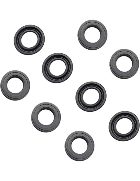 Kit, Water Seal  RMV (2.5 GPM 6-Seals), AR2235 