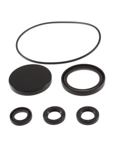 Kit, Oil Seal, AR2787 