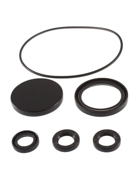 Kit, Oil Seal, AR2787 