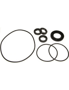 Kit, Oil Seal, AR2873 