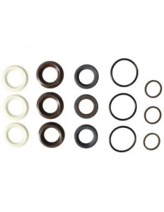 Kit, Water Seal (RRV) 15 MM, AR42556 