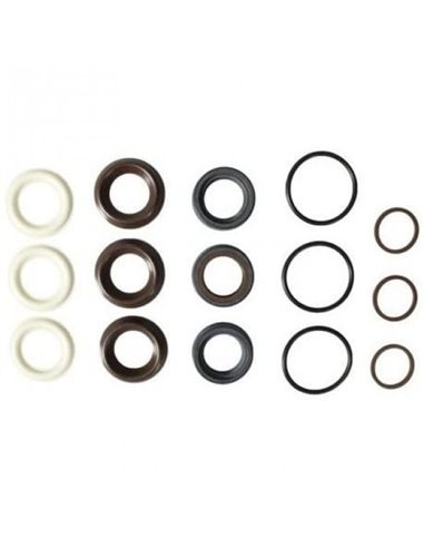 Kit, Water Seal (RRV) 15 MM, AR42556 