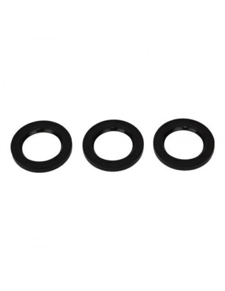 Kit, Oil Seal - Piston, KIT044