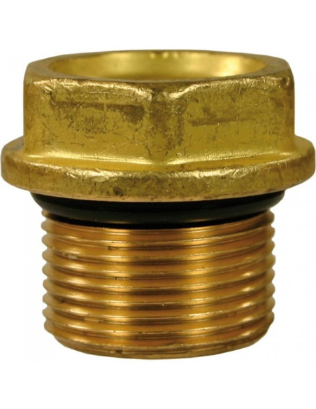 Valve Cap, 66130141