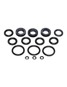 Kit, Seal W/S-SPG NBR 45, 30629