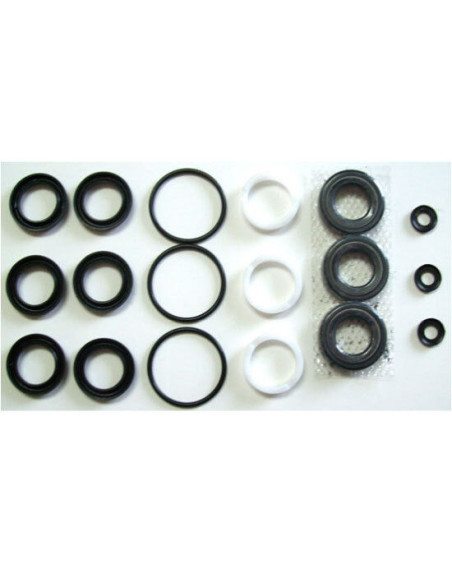 Kit, Seal 2FX, 2SFX High Temp  1, 33953