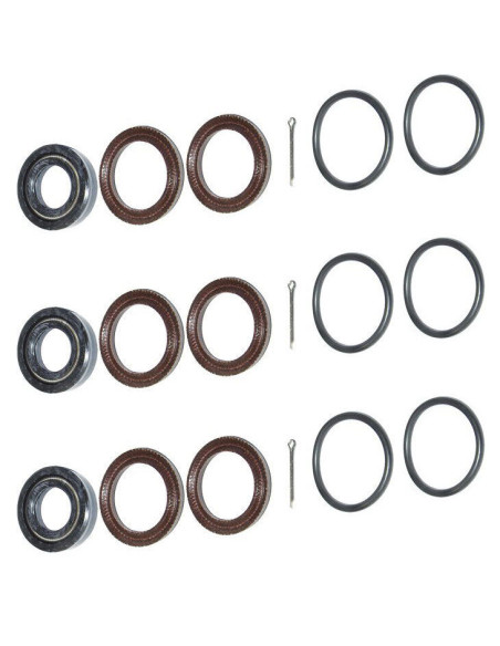 Kit, Seal W/S-SPG NBR 4SF, 34054