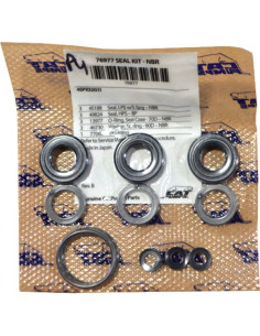 Kit, Seal - (4SPX32G1I Pump), 76977