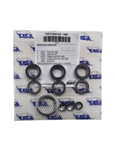 Seal Kit, 76975