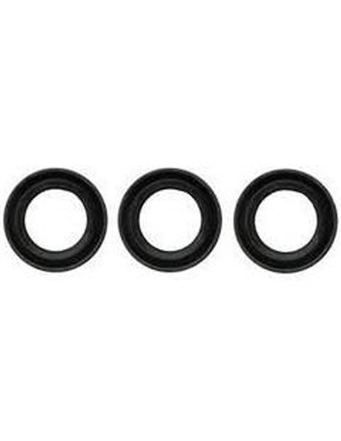 Oil Seal Kit, P54, 58, 59, 09202 