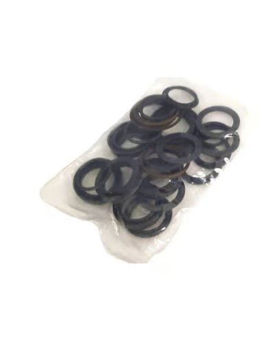 Viton Seal Kit P300 Series 18mm, 09456 