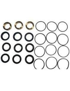 Kit, Plunger Packing, LP301A, 09459 