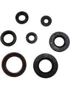 Kit, Oil Seal P400 Series, 1 PC. Seal Case, 09641 