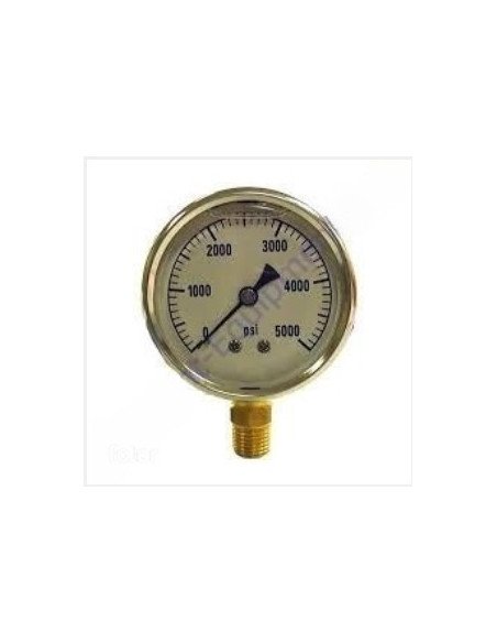 DPac - Manómetro, 5000 PSI, 10-305