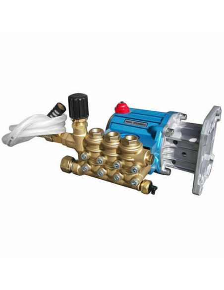 Conjunto, bomba Cat con plomería ( 67PPX39G1I )